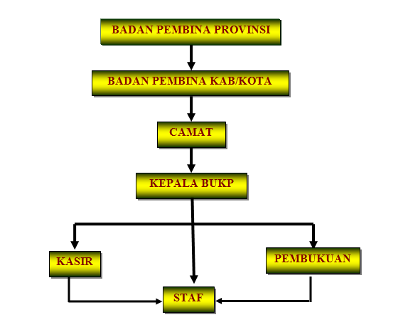 Struktur Organisasi BUKP